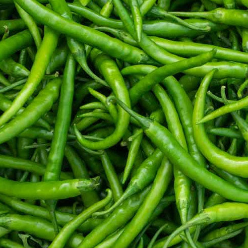 Chilli Ind