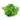Methi Leaves