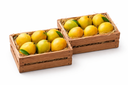 2Box Alphonso Mangoes