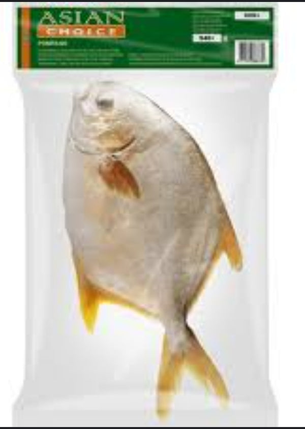 Asian Golden Pomfret