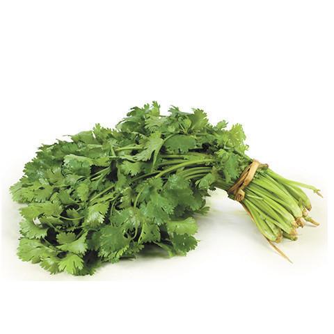 Coriander Big Bunch